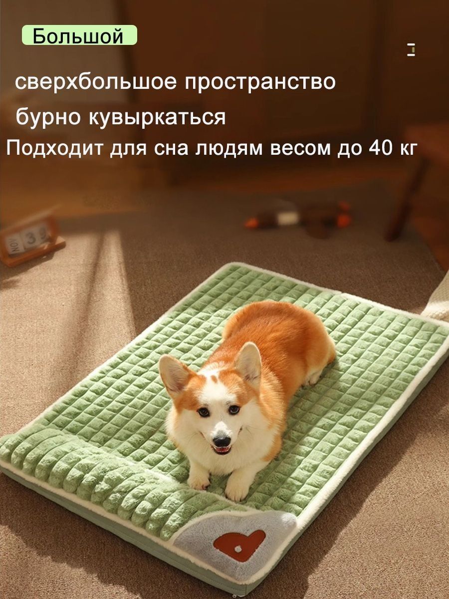 eb98b85a6e624a49b4d54608e9e0c186